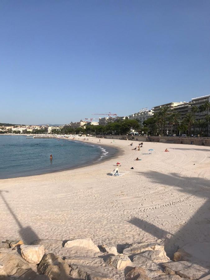 Tres Beau T2 Dans Parc Montfleury ,Proche Centre ,Au Calme 44 Bd Montfleury Lägenhet Cannes Exteriör bild