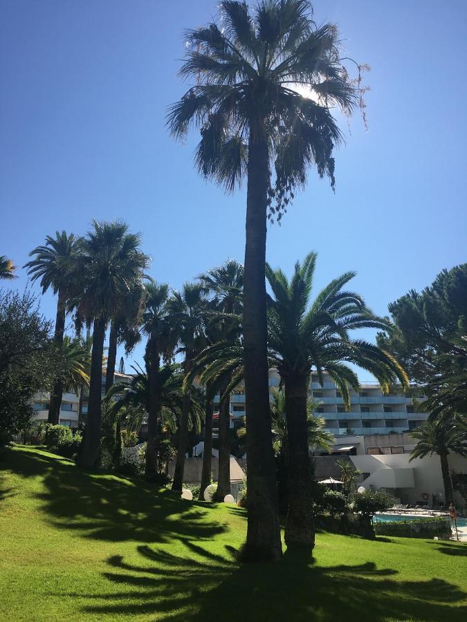 Tres Beau T2 Dans Parc Montfleury ,Proche Centre ,Au Calme 44 Bd Montfleury Lägenhet Cannes Exteriör bild
